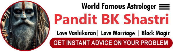 No.1 Pandit BK Shastri